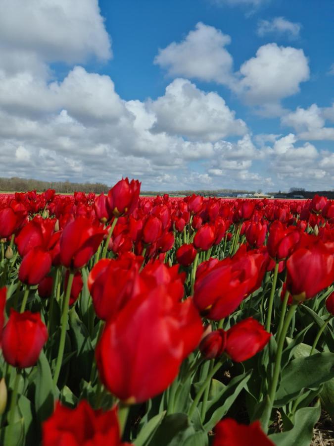 Bed and Breakfast Tamar 2 Katwijk aan Zee Zewnętrze zdjęcie